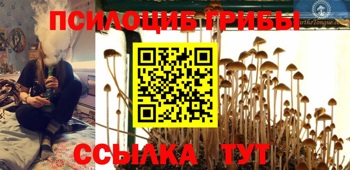 Псилоцибиновые грибы мухоморы Кубинка