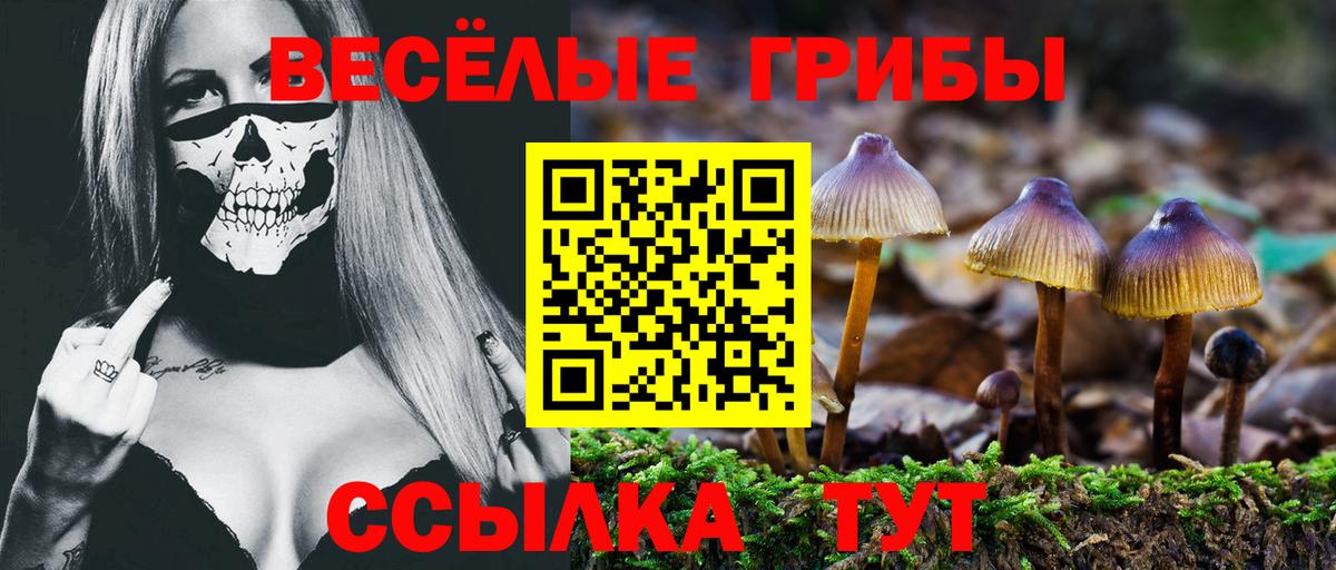 Псилоцибиновые грибы прущие грибы  Вход с VPN  Кубинка 